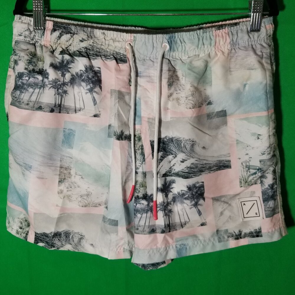American Eagle Outfitters Mens Multicolor Relaxed Fit Bottom Swim Trunks Size L
